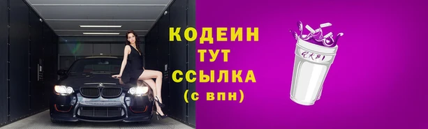 стаф Гусев