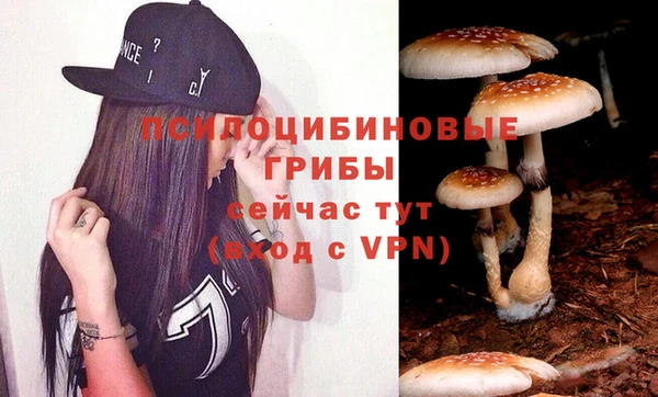 стаф Гусев