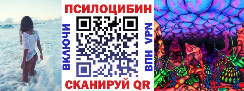 Псилоцибиновые грибы Cubensis Купить закладки Волосово